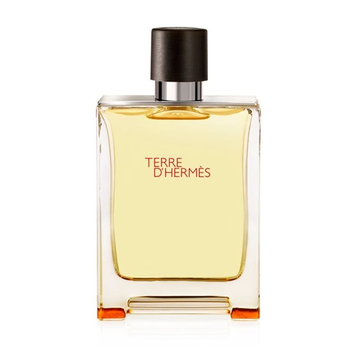 Hermes Terre d'Hermes 100ml EDT