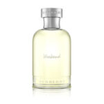 Burberry Weekend for Men 100ml Edt - Tester