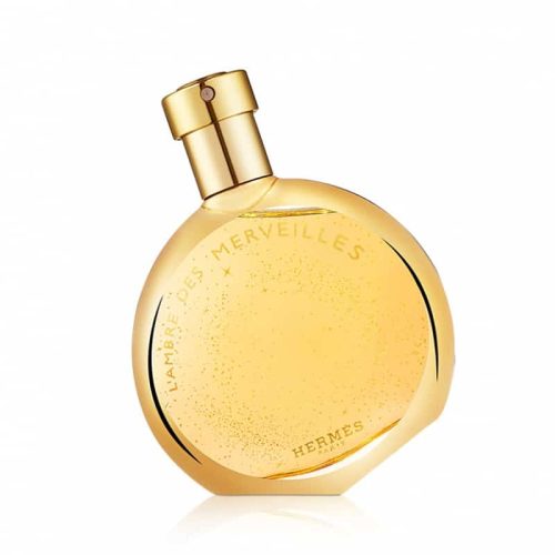 Hermes L'Ambre des Merveilles 100ml EDP