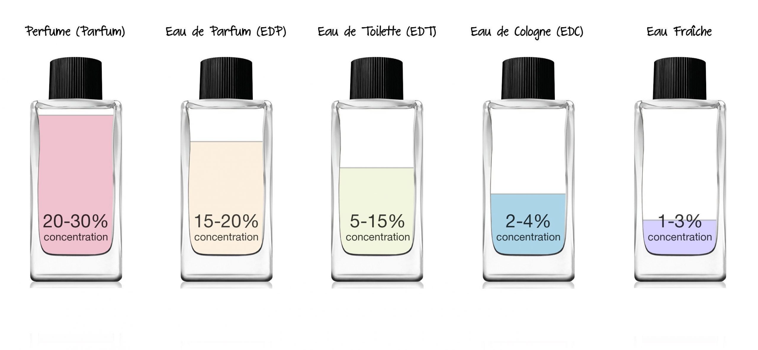 strukturelt Blot montering Fragrance Concentration Guide - My Perfume Shop