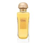 Hermes Caleche Soie De Parfum 100ml edp Hermes For Her