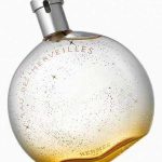 Hermes Eau des Merveilles - Tester 100ml edt Hermes Tester Women