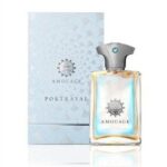 Amouage Portrayal Man 100ml Edp