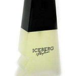 Iceberg Iceberg For Her