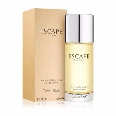 Calvin Klein Escape For Him 100ml EDT