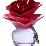 Justin Bieber Someday Justin Bieber For Her