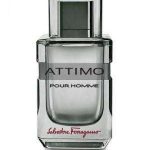 Salvatore Ferragamo Attimo Pour Homme - Tester Salvatore Ferragamo Tester Men