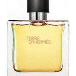 Hermes Terre d'Hermes 75ml EDP 75ml edp Hermes For Him