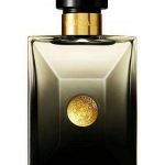 Versace Oud Noir pour Homme 100ml edp 100ml edp  Versace For Him