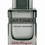 Salvatore Ferragamo Attimo Pour Homme 40ml Edt